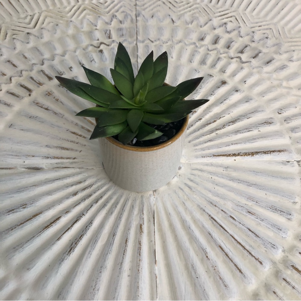 Mini Potted Faux Succulent - Small Artificial Succulent in Ceramic Pot